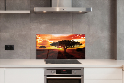 Painel de vidro Árvores nuvens pôr do sol