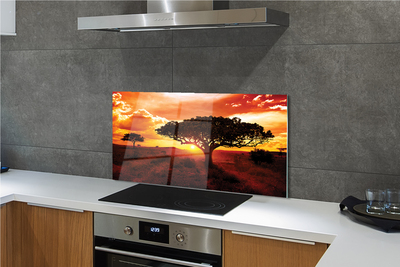 Painel de vidro Árvores nuvens pôr do sol