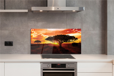 Painel de vidro Árvores nuvens pôr do sol