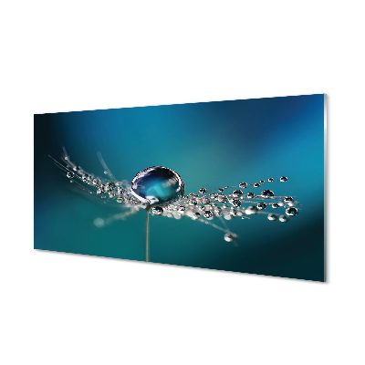 Painel de vidro Macro de gotas de dente-de-leão