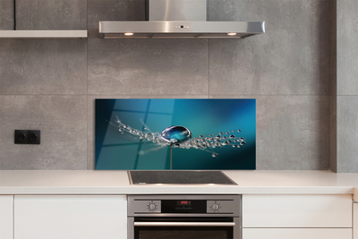 Painel de vidro Macro de gotas de dente-de-leão