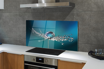 Painel de vidro Macro de gotas de dente-de-leão