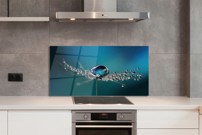 Painel de vidro Macro de gotas de dente-de-leão