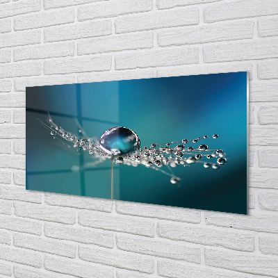 Painel de vidro Macro de gotas de dente-de-leão