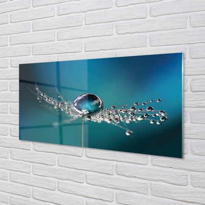 Painel de vidro Macro de gotas de dente-de-leão