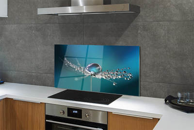 Painel de vidro Macro de gotas de dente-de-leão