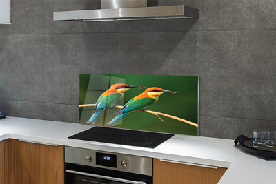 Painel de vidro Papagaios coloridos em um galho