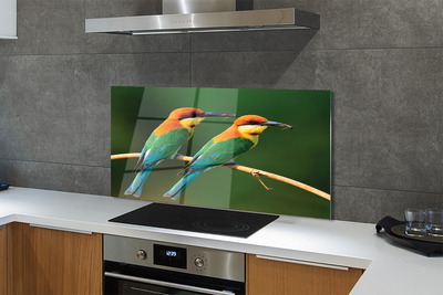 Painel de vidro Papagaios coloridos em um galho