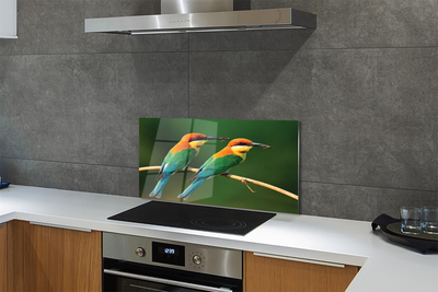 Painel de vidro Papagaios coloridos em um galho