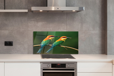 Painel de vidro Papagaios coloridos em um galho