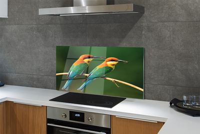 Painel de vidro Papagaios coloridos em um galho