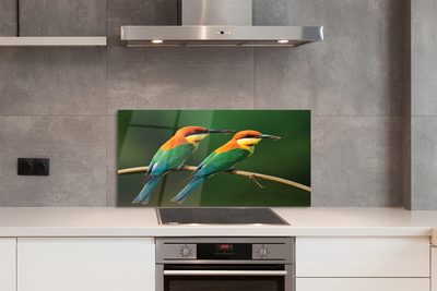 Painel de vidro Papagaios coloridos em um galho