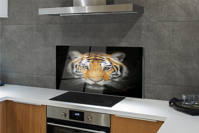 Painel de vidro Tigre