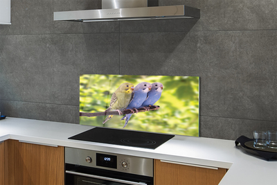 Painel de vidro Papagaios coloridos em um galho