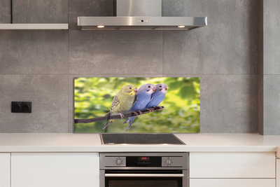 Painel de vidro Papagaios coloridos em um galho