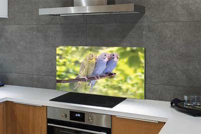 Painel de vidro Papagaios coloridos em um galho