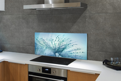 Painel de vidro Macro de gotas de dente-de-leão