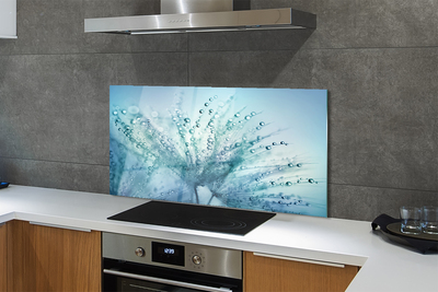 Painel de vidro Macro de gotas de dente-de-leão