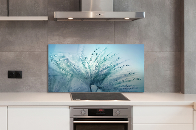 Painel de vidro Macro de gotas de dente-de-leão