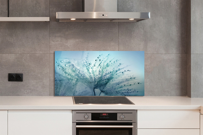 Painel de vidro Macro de gotas de dente-de-leão