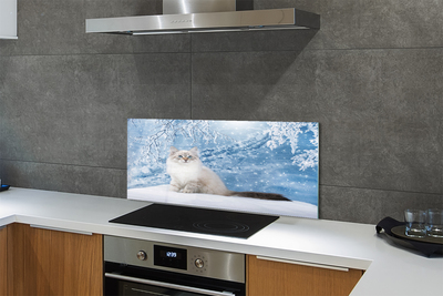 Painel de vidro Gato no inverno
