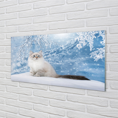 Painel de vidro Gato no inverno