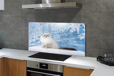 Painel de vidro Gato no inverno