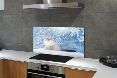 Painel de vidro Gato no inverno