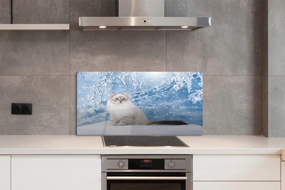 Painel de vidro Gato no inverno