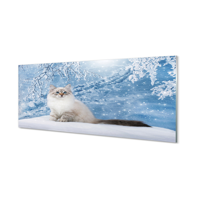Painel de vidro Gato no inverno