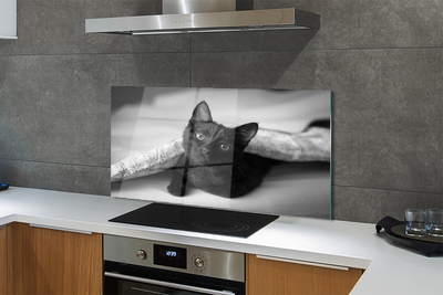 Painel de vidro O gato debaixo das cobertas