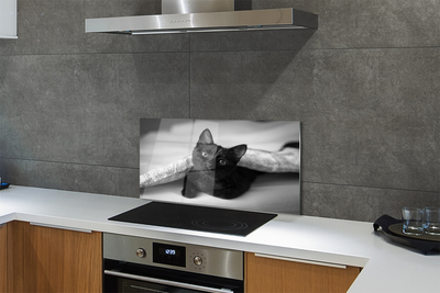 Painel de vidro O gato debaixo das cobertas