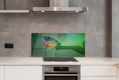 Painel de vidro Borboleta de folha colorida