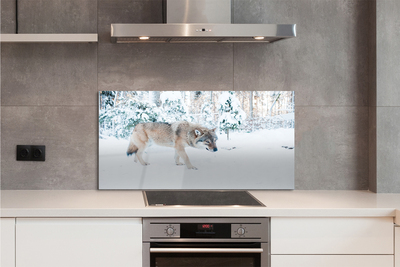 Painel de vidro Floresta de inverno do lobo