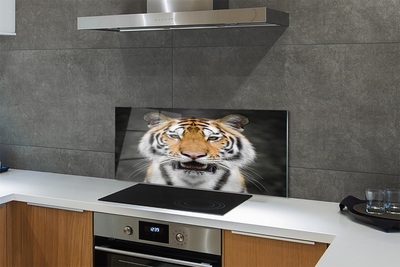 Painel de vidro Tigre