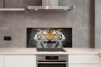 Painel de vidro Tigre