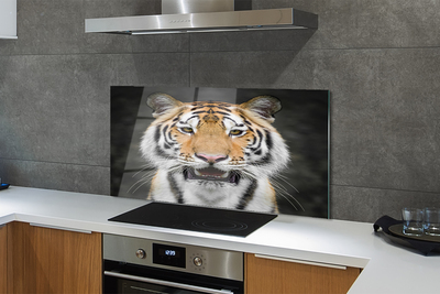 Painel de vidro Tigre