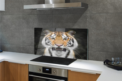 Painel de vidro Tigre