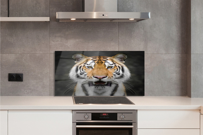 Painel de vidro Tigre