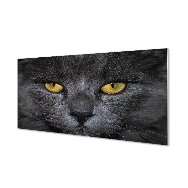 Painel de vidro Gato preto