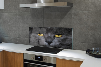 Painel de vidro Gato preto