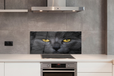 Painel de vidro Gato preto