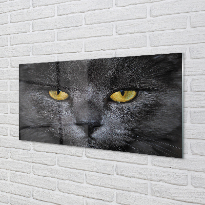 Painel de vidro Gato preto