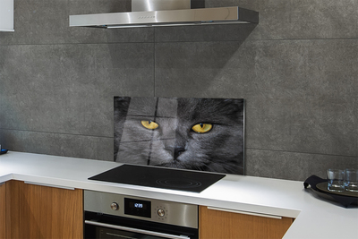 Painel de vidro Gato preto