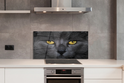Painel de vidro Gato preto