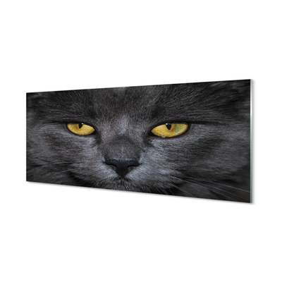 Painel de vidro Gato preto