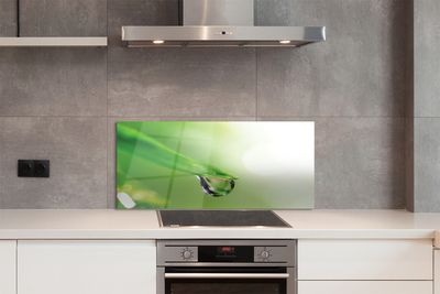 Painel de vidro Sol de folha caída