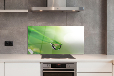 Painel de vidro Sol de folha caída