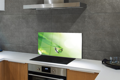 Painel de vidro Sol de folha caída