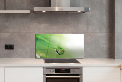 Painel de vidro Sol de folha caída